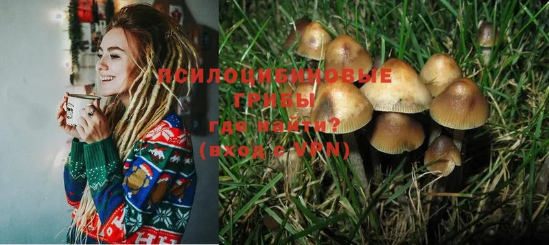 Псилоцибиновые грибы MAGIC MUSHROOMS  Малаховка 